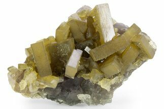 Golden Barite Crystals on Fluorite - Xiefang Mine, China #360510