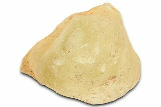 Libyan Desert Glass ( g) - Meteorite Impactite #334456