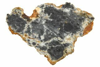Lunar Meteorite ( g) Section - Bechar #360540