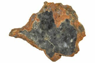 Lunar Meteorite ( g) Slice - Bechar #360551