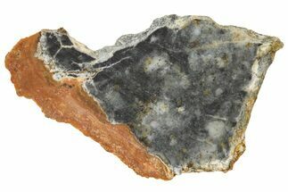 Lunar Meteorite ( g) Slice - Bechar #360555