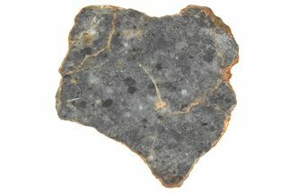 Lunar Meteorite ( g) Slice - Bechar #360557