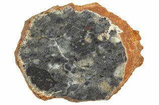 Bechar 003 Meteorites For Sale