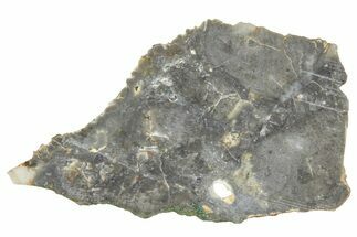 NWA Lunar Meteorite ( g) Slice #360596