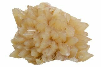 Sharp Dogtooth Calcite Crystal Cluster - Utah #360684
