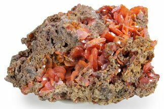 Fiery, Red-Orange Wulfenite Cluster - Kuruktag Mountains, China #361049