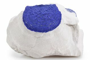 Azurite For Sale