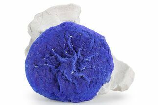 Vibrant Blue Azurite Sun on Siltstone - Australia #361146