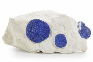 Vibrant Blue Azurite Suns on Siltstone - Australia #361202