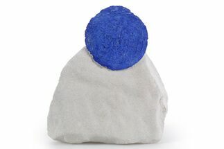 Vibrant Blue Azurite Sun on Siltstone - Australia #361220
