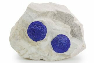Vibrant Blue Azurite Suns on Siltstone - Australia #361235