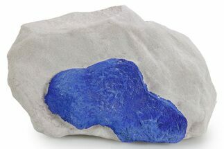 Vibrant Blue Azurite Sun Cluster on Siltstone - Australia #361239