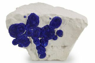 Vibrant Blue Azurite Suns on Siltstone - Australia #361241