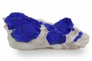 Vibrant Blue Azurite Suns on Siltstone - Australia #361245