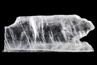 Glassy Selenite Utah Ice Sheet- Hanksville, Utah #361236