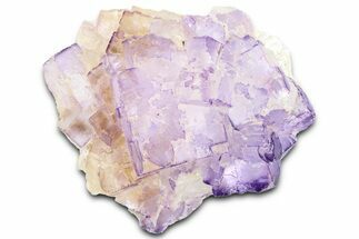 Purple Cubic Fluorite Crystal Cluster - Pakistan #361447