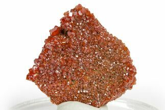 Glittering Ruby Red Vanadinite Crystals - Arizona #361553