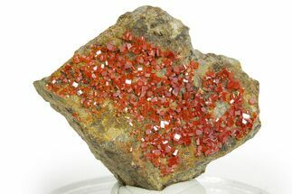 Glittering Ruby Red Vanadinite Crystals - Arizona #361571