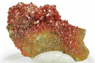 Glittering Ruby Red Vanadinite Crystals - Arizona #361572