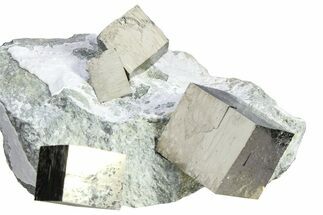 Four Shiny Natural Pyrite Cubes in Rock - Navajun, Spain #361775