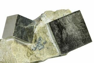 Two Natural Pyrite Cubes In Rock - Navajun, Spain #361859