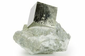Natural Pyrite Cube In Rock - Navajun, Spain #361820