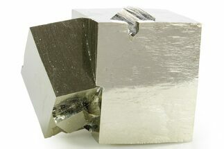Shiny, Natural Pyrite Cube Cluster - Navajun, Spain #361954