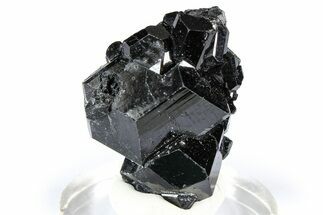 Lustrous Black Tourmaline (Schorl) Crystal Cluster - Namibia #361646