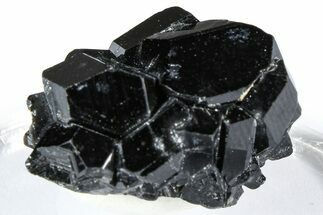 Lustrous Black Tourmaline (Schorl) Crystal Cluster - Namibia #361655