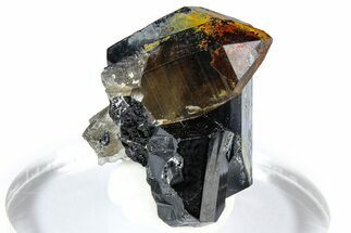 Lustrous Black Tourmaline (Schorl) Crystal Cluster - Namibia #361669