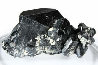 Lustrous Black Tourmaline (Schorl) Crystal Cluster - Namibia #361679