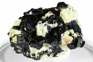 Lustrous Black Tourmaline (Schorl) Crystals w/ Feldspar - Namibia #361687