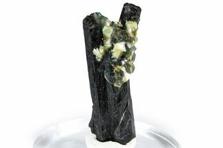 Black Tourmaline (Schorl) w/ Muscovite & Fluorite - Namibia #361695