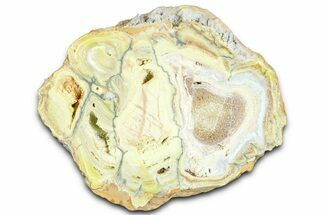 Clay Canyon Crandallite and Wardite - Old Collection Stock #361998