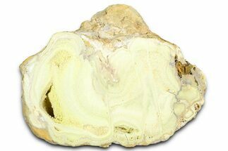 Clay Canyon Crandallite and Wardite - Old Collection Stock #362017