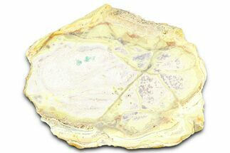 Clay Canyon Crandallite, Wardite & Variscite #362051