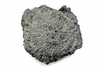 Fossil Glyptodont (Glyptotherium) Bony Armor Osteoderm - Florida #362295