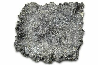 Fossil Glyptodont (Glyptotherium) Bony Armor Osteoderm - Florida #362357