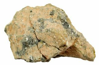 Howardite Meteorite ( g) - Bechar #348428