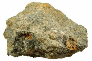 Howardite Meteorite ( g) - Bechar #348431