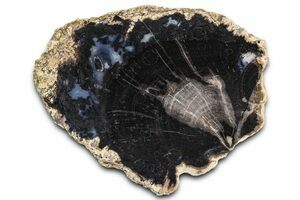 5.1