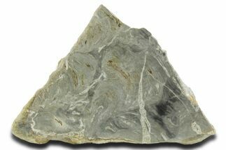 Polished Stromatolite (Pseudokussiella) Slab - Russia #363047