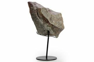 Fossil Sauropod Vertebra Section with Metal Stand - Colorado #363657