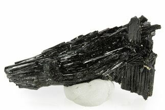 Black Tourmaline (Schorl) Crystal Cluster - Namibia #363665