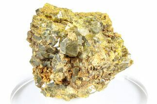 Olive Topazolite Garnet Cluster - Quartzite Mountain, Arizona #363743