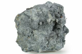 Buy Foitite