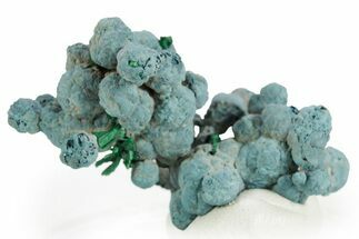 Fibrous Malachite on Blue Botryoidal Shattuckite - Namibia #363777