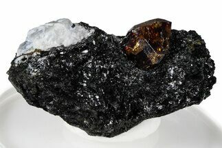 Fluorescent Zircon Crystal and Magnetite in Biotite Schist - Norway #363861