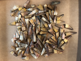 Lot of Spinosaurus Teeth - to #364101