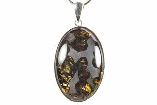Sericho Pallasite Oval Meteorite Pendant - Sterling Silver #364106